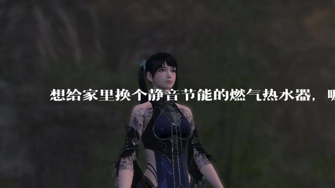 想给家里换个静音节能的燃气热水器，哪个品牌比较好？