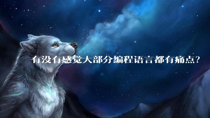 有没有感觉大部分编程语言都有痛点？