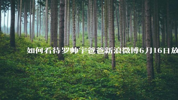如何看待罗帅宇爸爸新浪微博6月16日放出的录音材料？